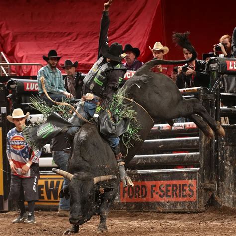 bull riding porn|Bull Riding Porn Videos .